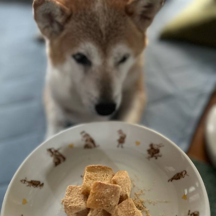 308d8f63 8a37 4766 bce0 f2f664e6de12 1757831081026