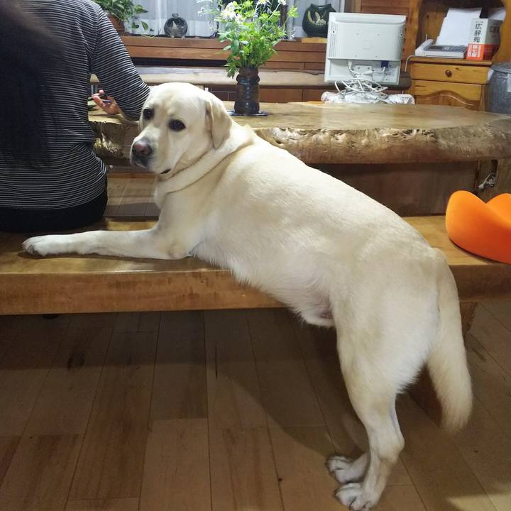 308d96e7 2a13 4f3f 9392 9b4ab29c92fc 1570619307271