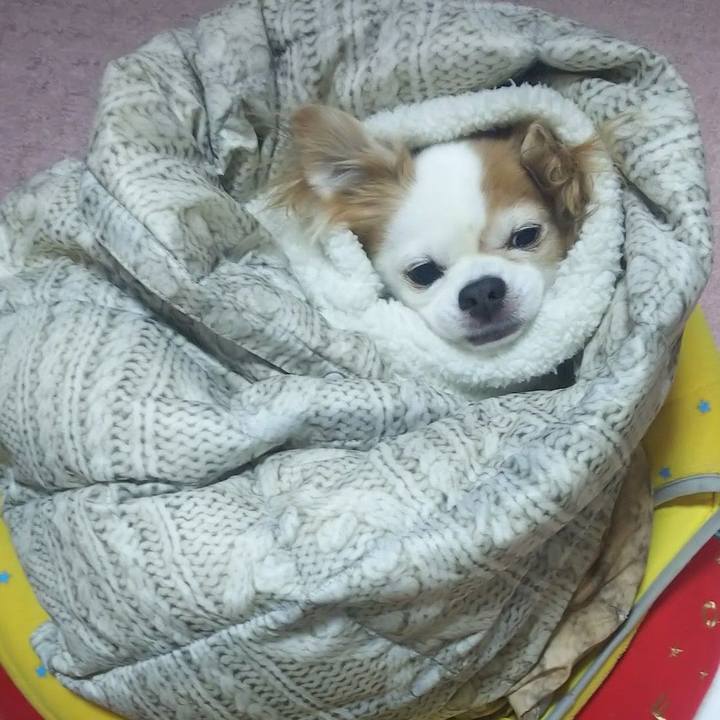 308db017 c38b 41f1 b9d5 5489d521c41a 1766279201562