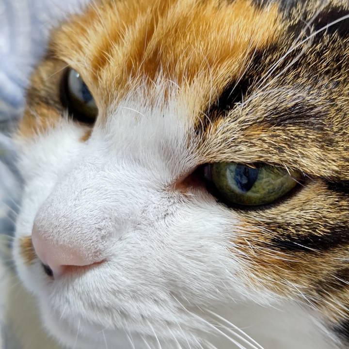 308db65d c6f5 4abf 8f42 a1fb0bd1b74e 1609396745899