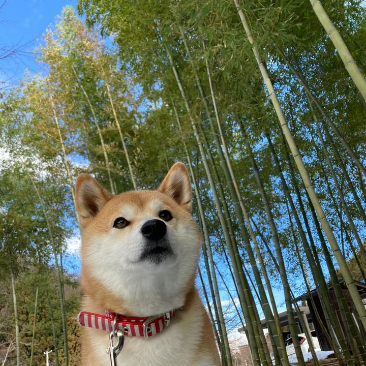 308de946 a963 40dd a82b b483e5dbf6e2 1672468762257