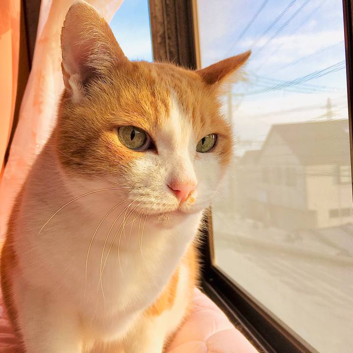 308e02e2 f771 4a7a 9e67 d20ff3005350 1584338812104