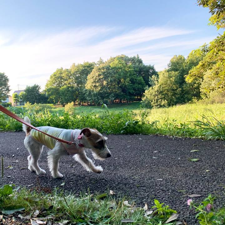 308e1125 99ec 478b 8fec 669d2396938d 1593690585783