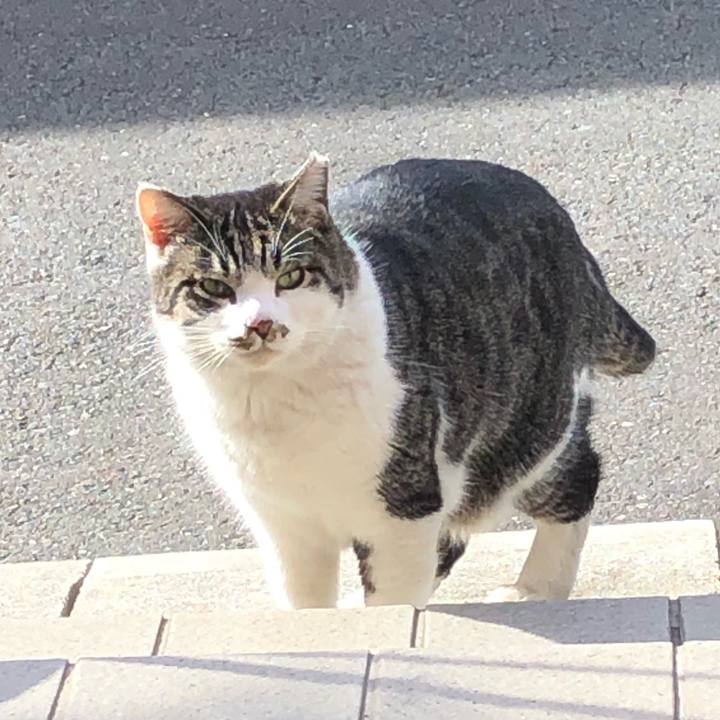 308e16d0 8e34 4ec3 be8a 6dda6fee9948 1577265799321