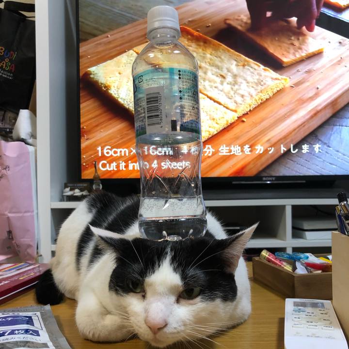 308e180b f2cd 408c 9ec3 9605a2c26717 1581939838951