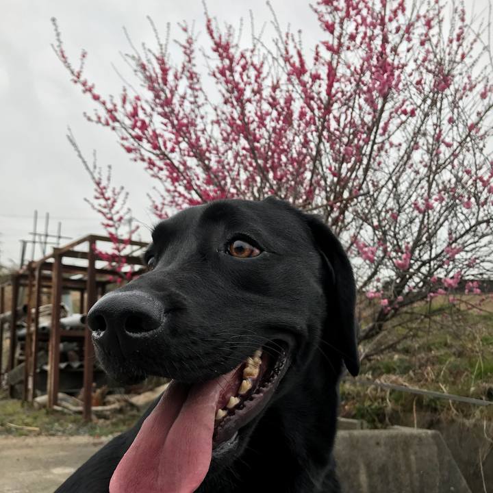 308e3844 eafb 4911 b7a1 13ff60a6f611 1520065575520