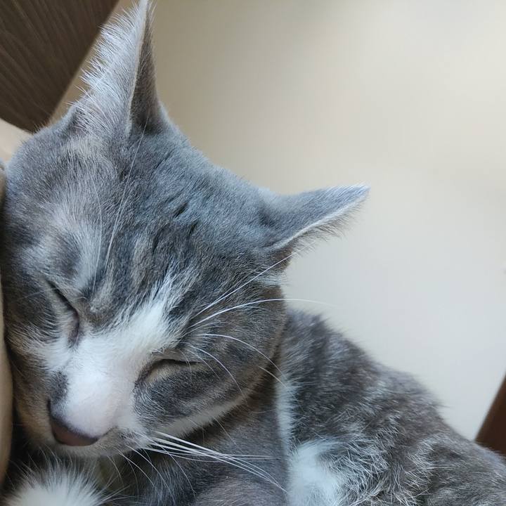 308e4740 3580 4cc4 b1e2 ea0ca1fc0519 1588809015129