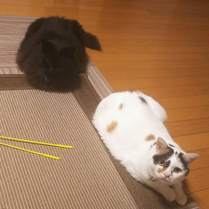 308e6ef5 7567 40f9 a149 8d8cd3922f50 1538398001662