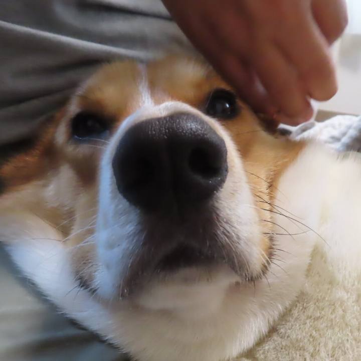 308e73c0 ca96 49f9 aaee a4d37114b21f 1632535279212