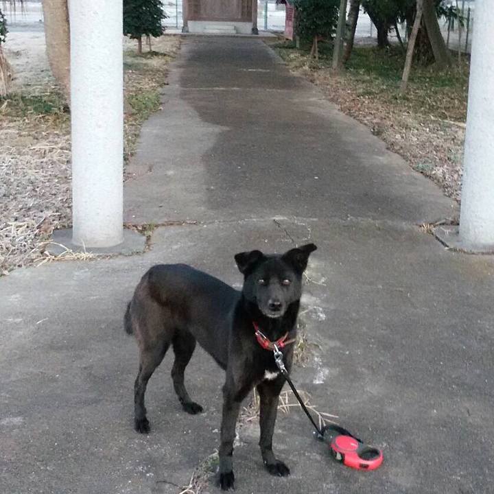 308e9391 059a 414f bbec 69b73b391f19 1547556407706