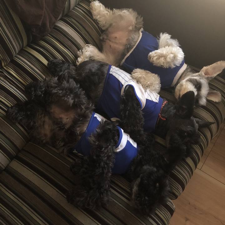 308e9544 1ce5 41dd 8fa7 db523bc5a700 1530311427670