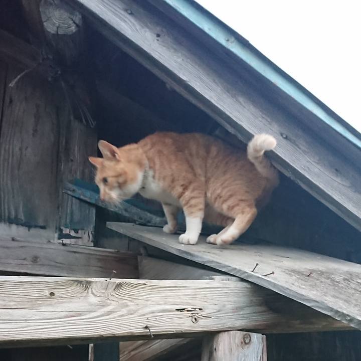 308e9dea 5a1b 459d a27c ae4ea66269bc 1589363359858