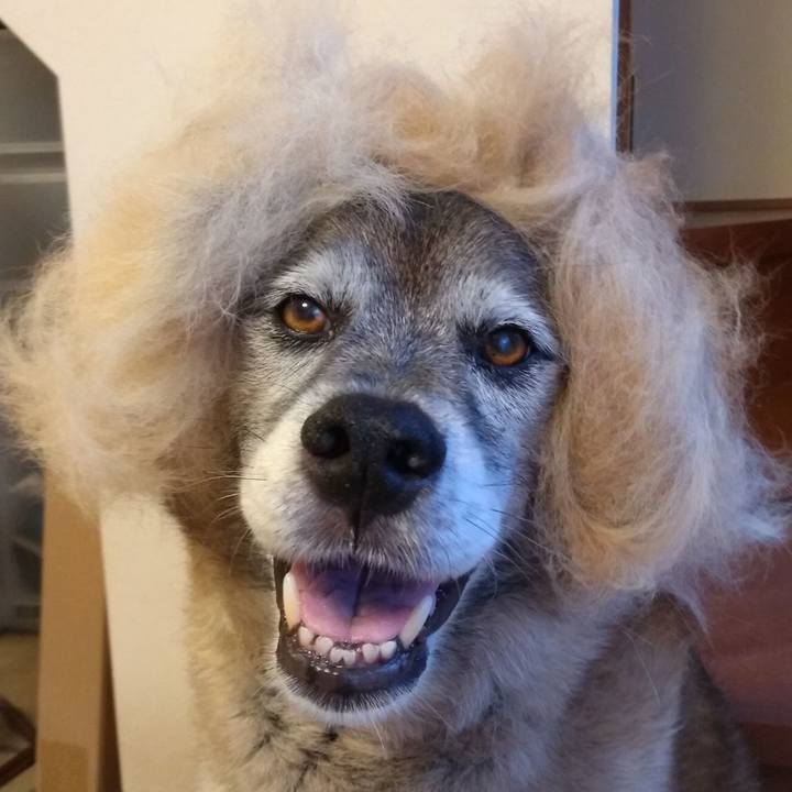 308ea78f 3831 4d49 b169 aad1353abb64 1565319429353