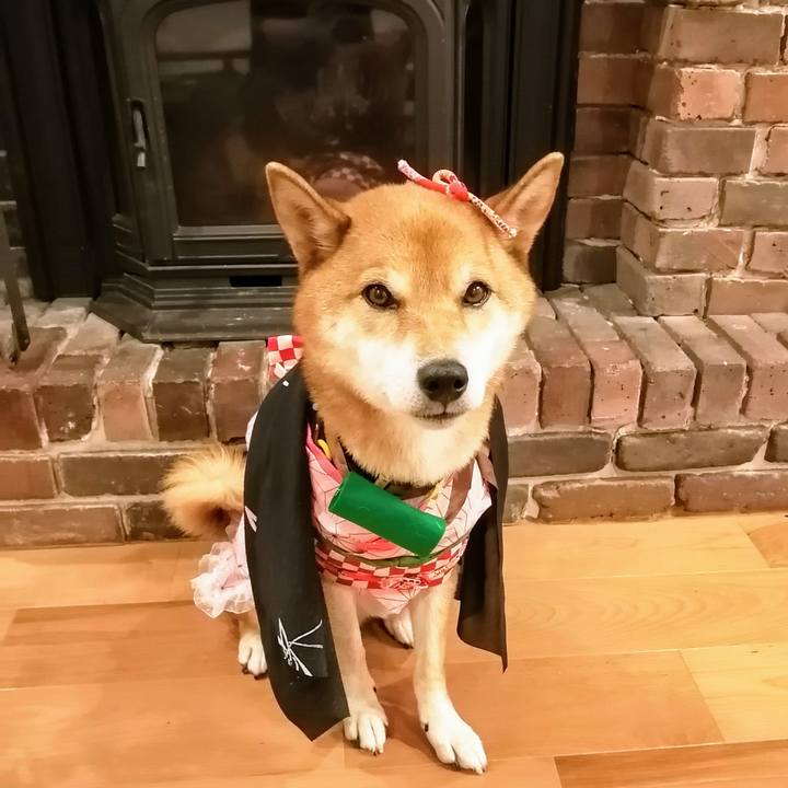 308ef6f4 4c9f 40af b887 5404a807561f 1602333529160