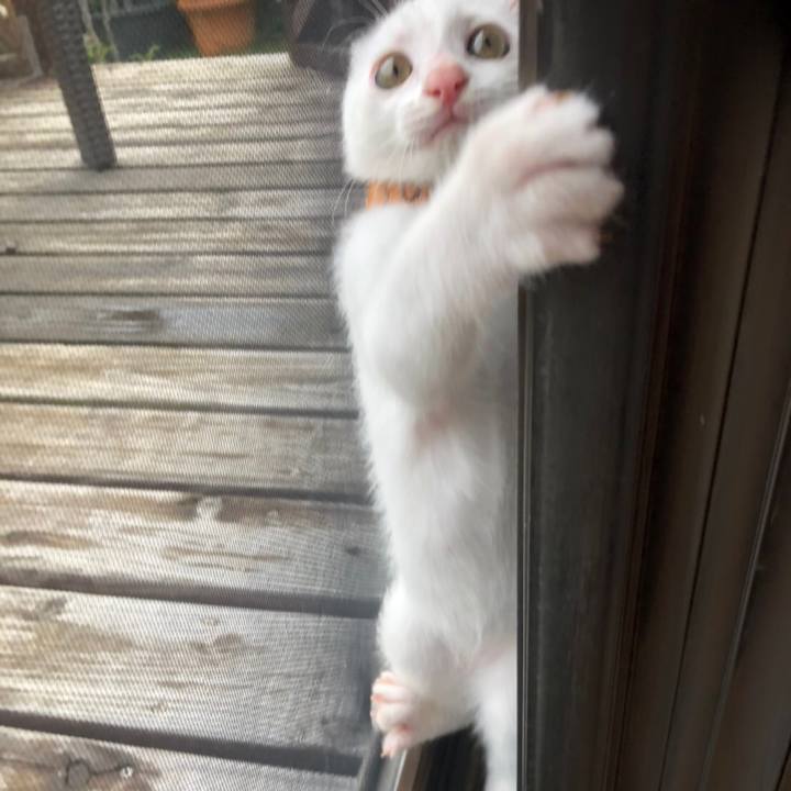 308f1180 1bae 4884 90fd 2a5798d65b59 1595885350333