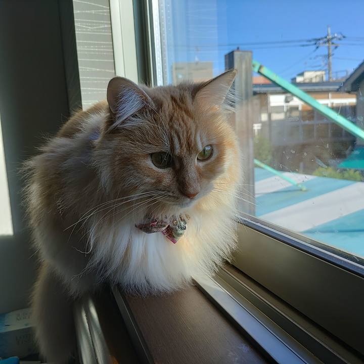 308f43c9 4267 4c71 8eb2 f72f65ea28c4 1684885393511