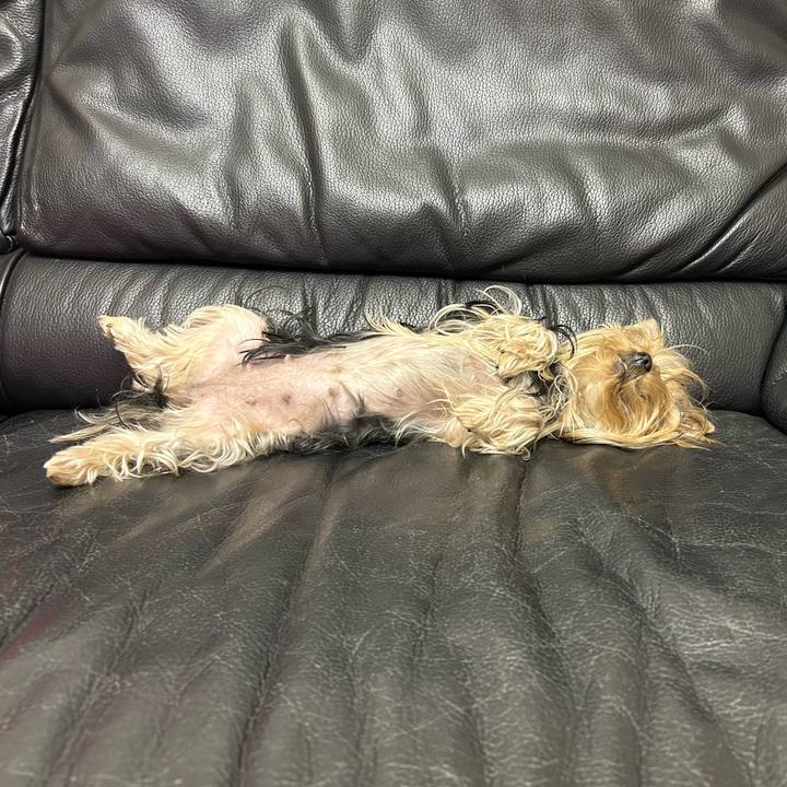 308f574f ce6c 43e3 a67e cb1c1e80e161 1710593996176