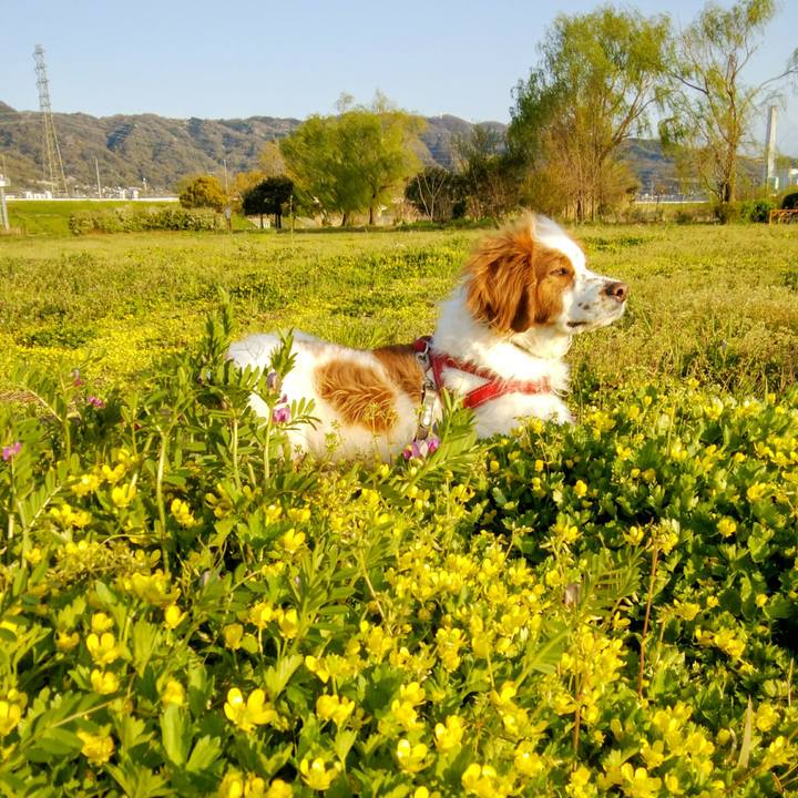 308f6d11 2f63 47c4 bddc 98e5e8922faa 1555155877256