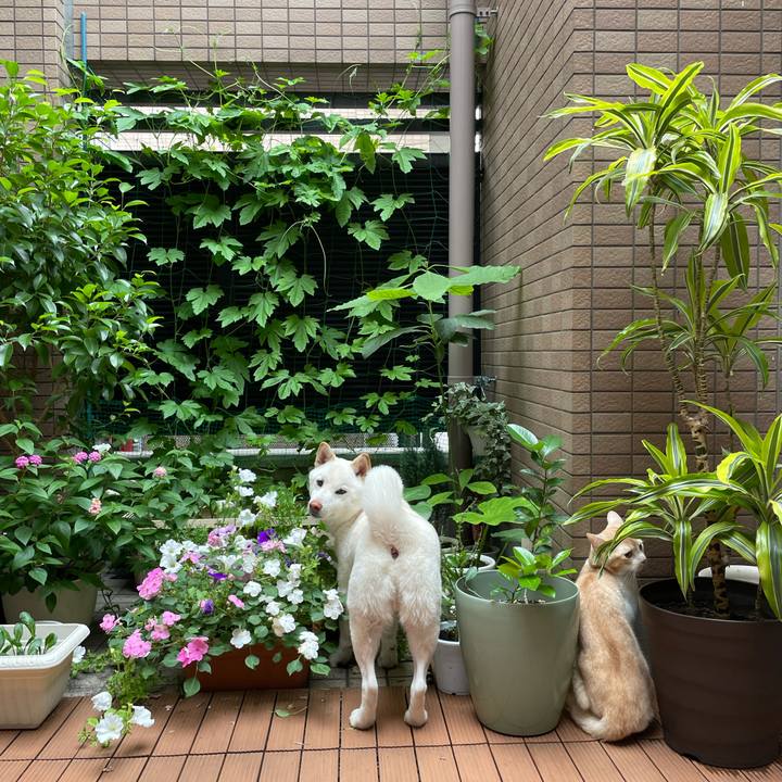 308f6f4d 1d15 417b 95d4 04519a3f8a6e 1624781795576