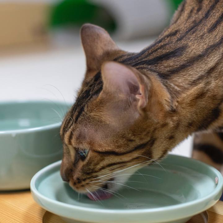 308f79ee 1d09 4f6e 9916 9edfddb2a701 1538928418912