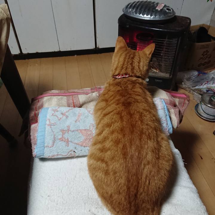 308f8ff5 70cf 4200 8b84 dc2cad55ce36 1604347900534