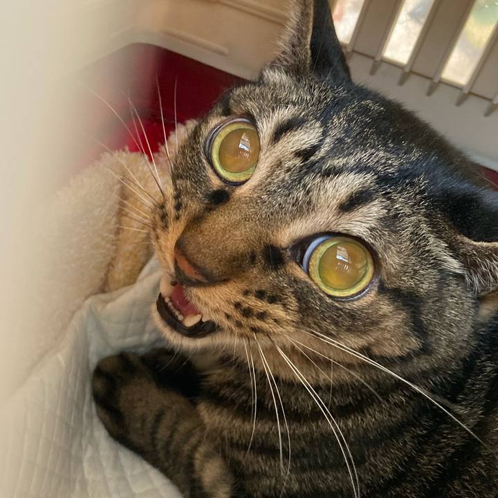 308fa0da 7999 4f1a 8f04 63925dc23b0a 1616991181994