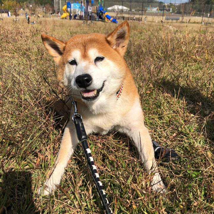 308fa17f acfd 4cc4 88bd 2b5a3c2426d3 1604201793335