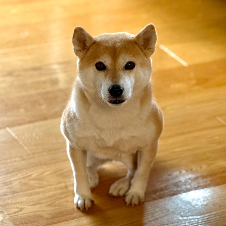 308fa556 0ef4 4ab9 980e 139153718f5f 1761439868690