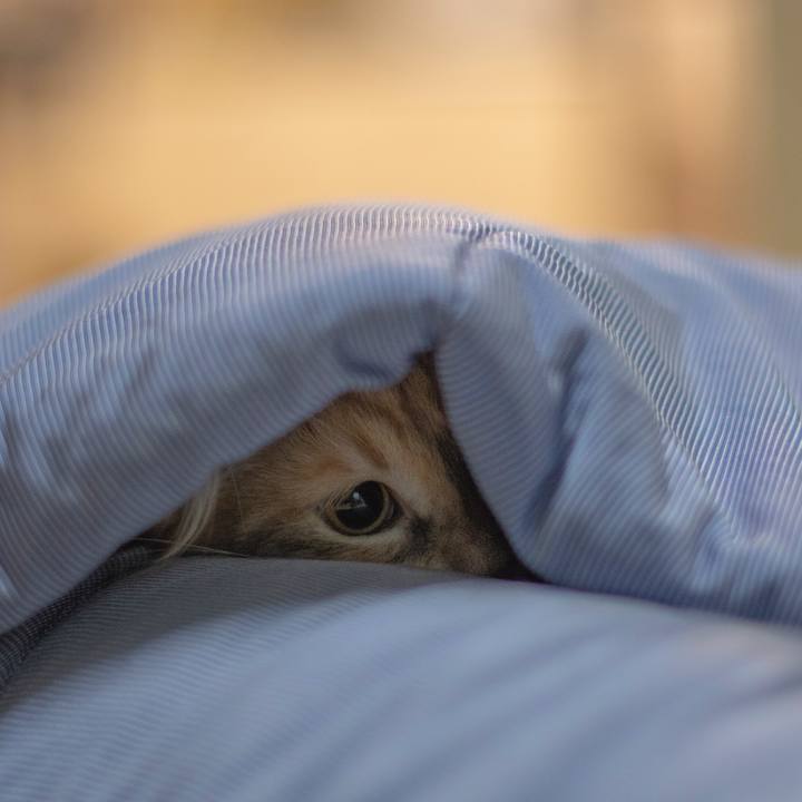 308fa818 a9c1 4575 b2c3 2b4cbcf5e9db 1537997104919