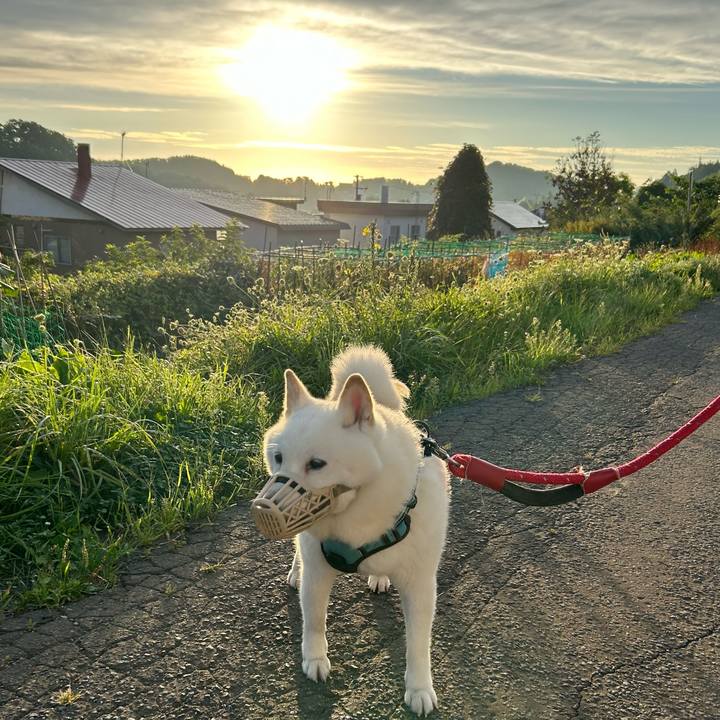 308fcd00 1ce1 47bb 8570 3b09d8604e12 1725484407287