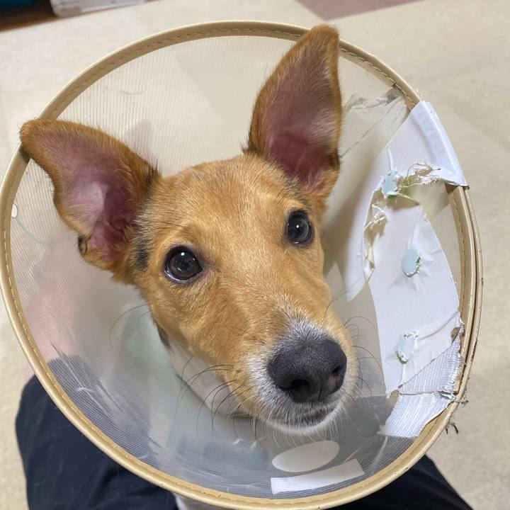 308fdf67 0156 4a59 9894 fb0d18ca1d34 1751118928543