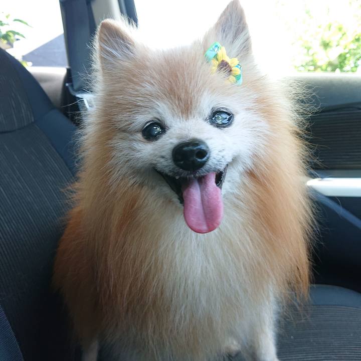 308fee81 a448 49e9 afa9 f87c1cd46d07 1690755792200