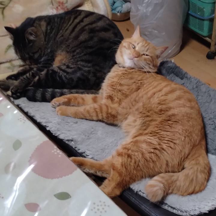 308ff53e 509d 45df 99d4 44c182ff2969 1671940212571