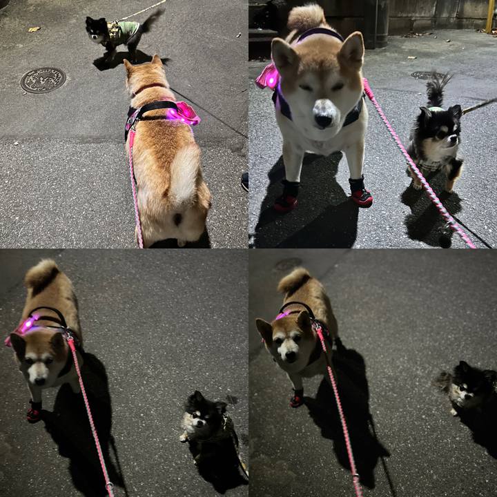 30900c09 e48f 4f97 b4f5 c2bef8fbbd46 1732782846442