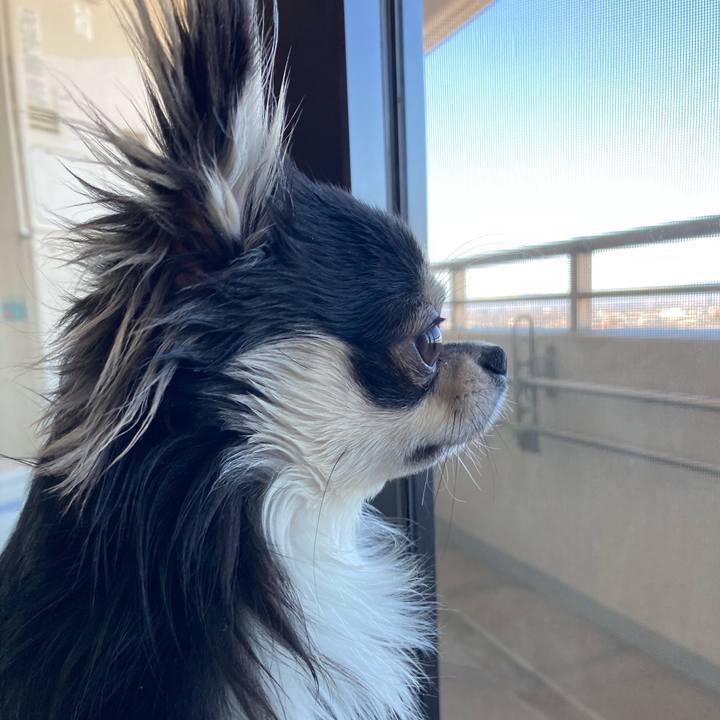 30901eba 9776 42c4 b119 8fe9493122b7 1609549867154