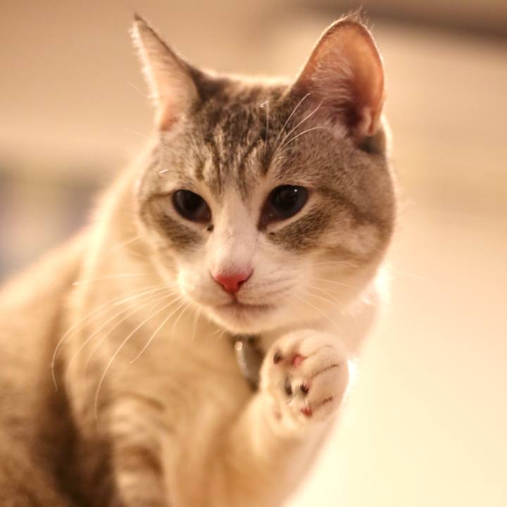 30902482 e222 4fd0 9e48 2064549e2628 1679629049471