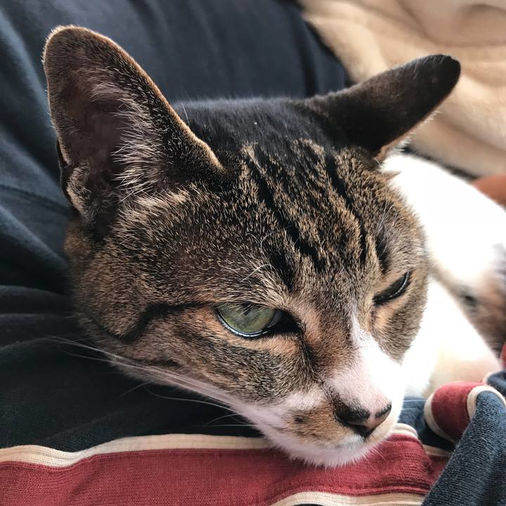 30905ac2 08bf 453c aacb be9c607232a5 1523841071280