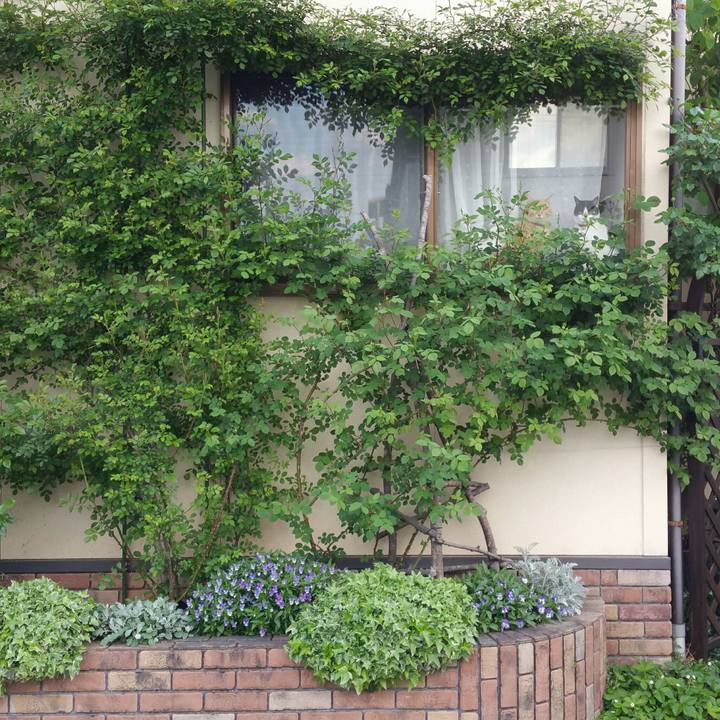 30906bab f691 46ba b466 760e8a0b0103 1525419879223