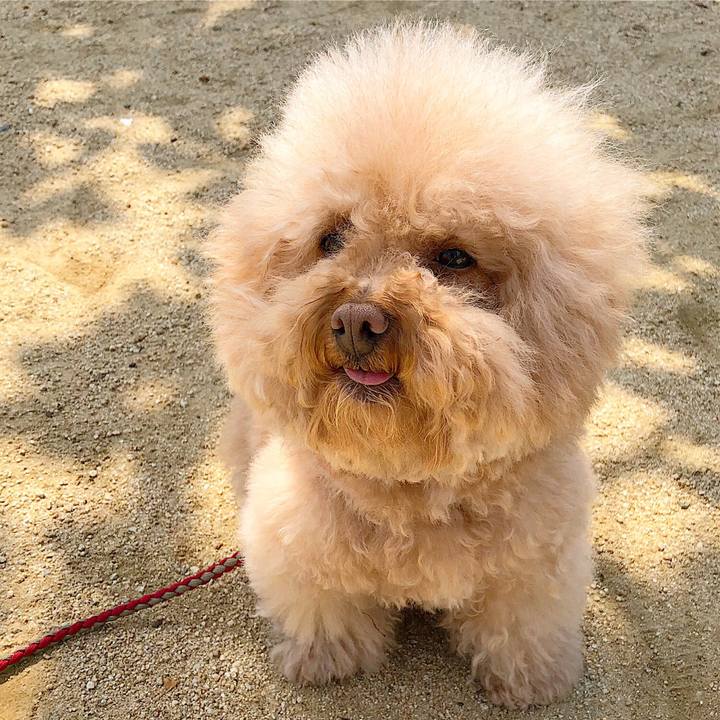 3090bd59 f8ec 4dff bfbe d483b249525a 1525488937426