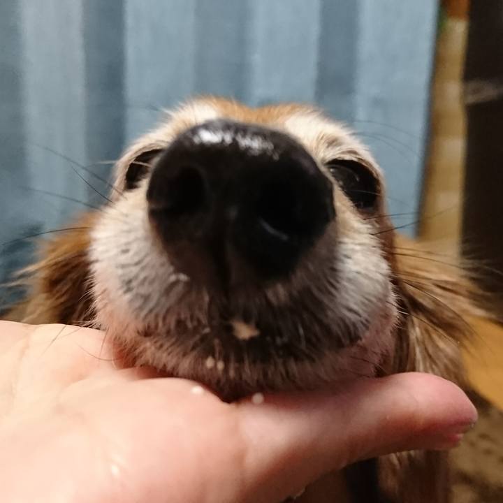 3090c134 0c9d 44cc 81f0 5b11f0e74aab 1515122782453