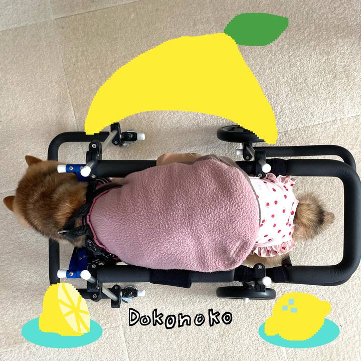 3090eb88 3229 4a51 8d51 aa84b37b1d25 1741583381093