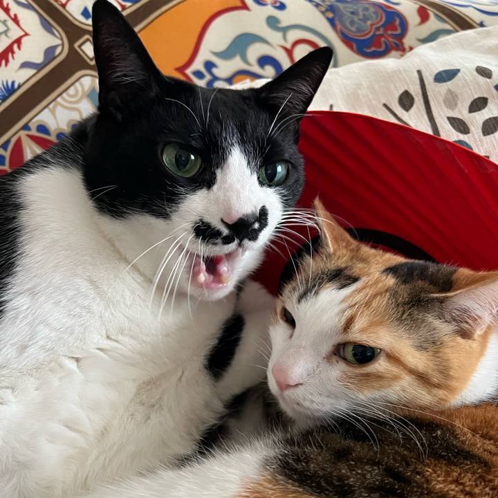 30910427 ef2f 4fb7 a492 1e08e29d8f69 1774408521621