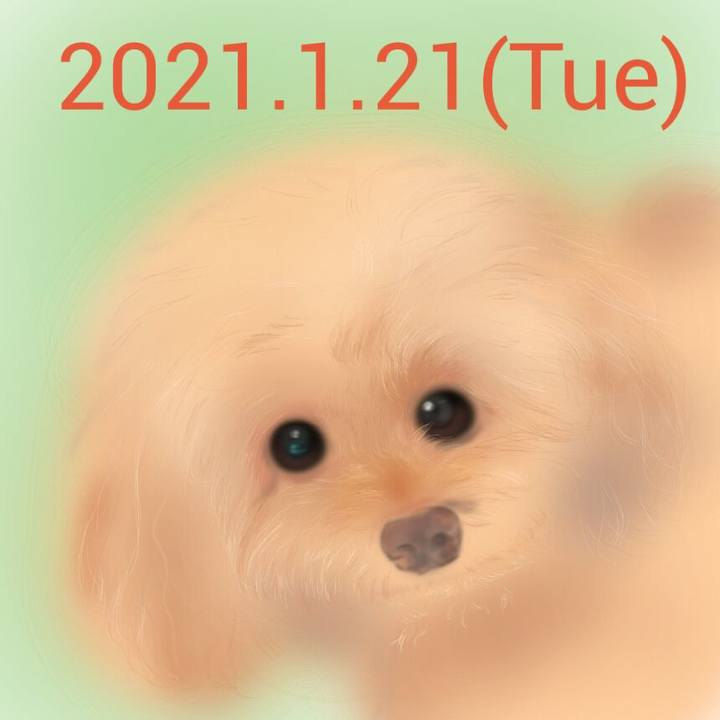 309174d2 ad77 410a a88e 149aa22e0662 1611228554061