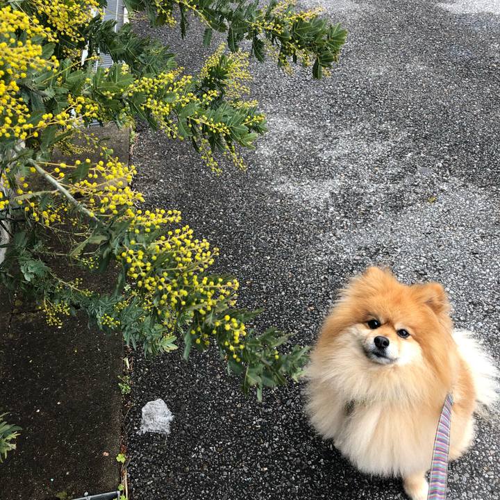 30918654 98a8 4e83 a7a0 5221e3b847a8 1581977262511