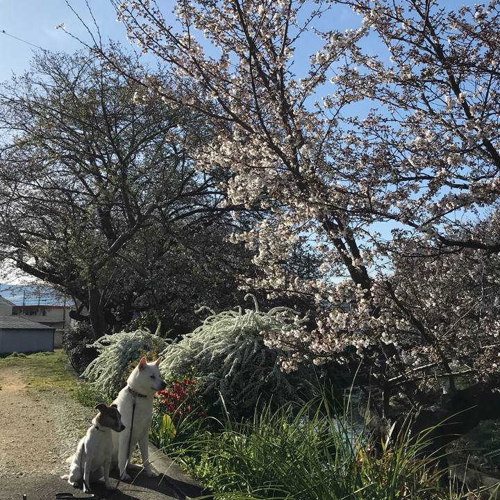 30918ed4 c7ea 4089 a09b 45c105e19568 1521851315297