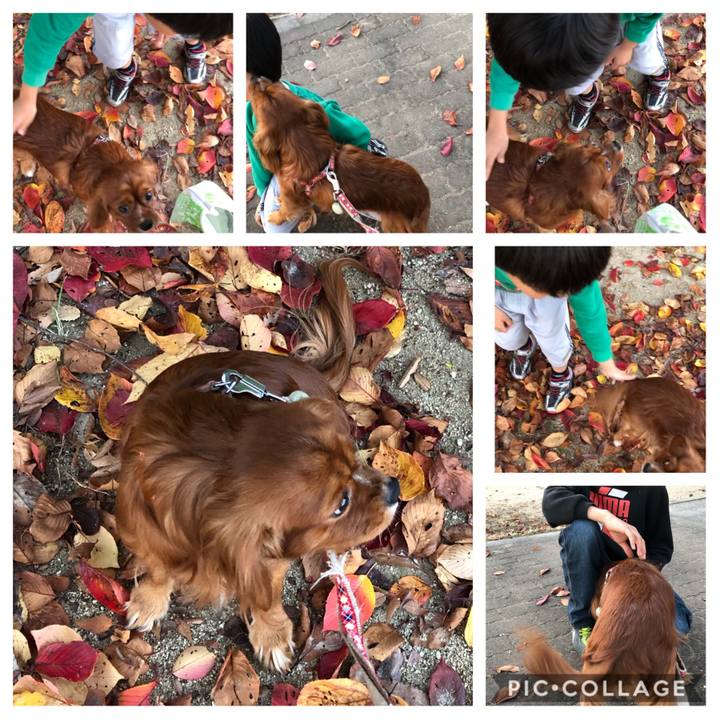 3091942c 41e7 43d5 9474 d8d70a4e9777 1574496521505