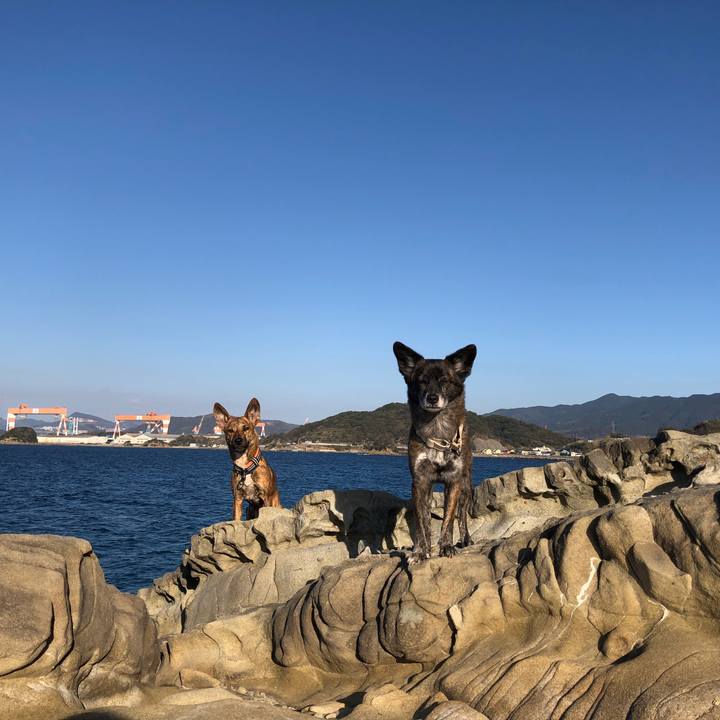 3091a551 68d4 4e46 b7cf 3a6a32366bd4 1582525042758