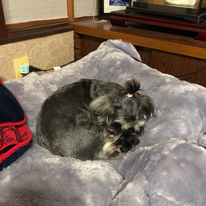 3091f80d 861b 4a3e 8b31 9d87d4542353 1558353869381