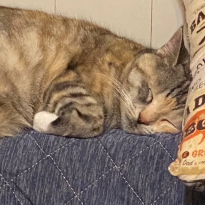 30922a20 77b0 4b50 a24d de1bad38ebbe 1621332515829