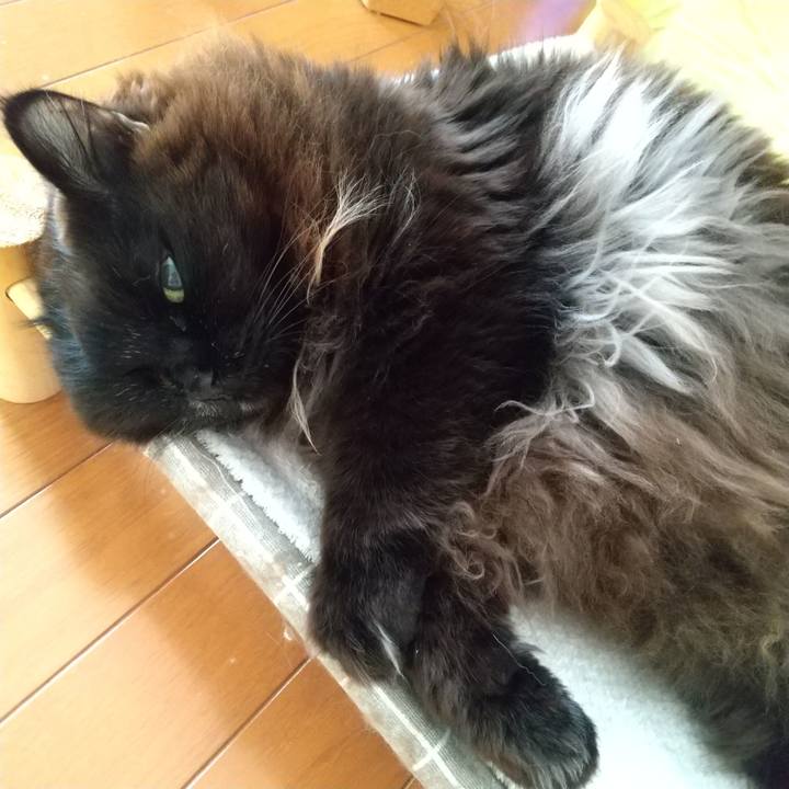 30925e0e dec4 4497 9ad2 6dbebc3c8e66 1709680212057